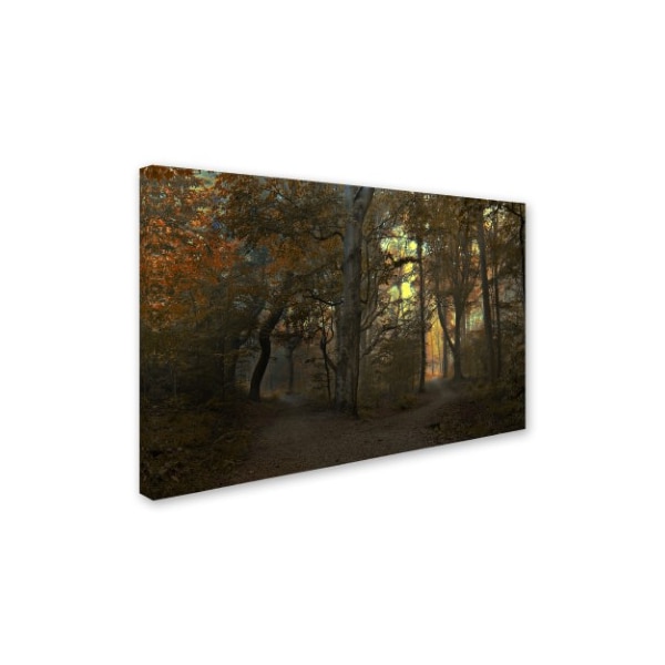 Leif Londal 'Which Path' Canvas Art,12x19